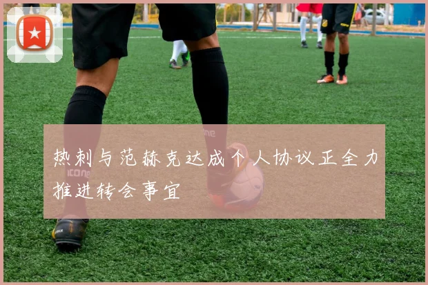 热刺与范赫克达成个人协议正全力推进转会事宜