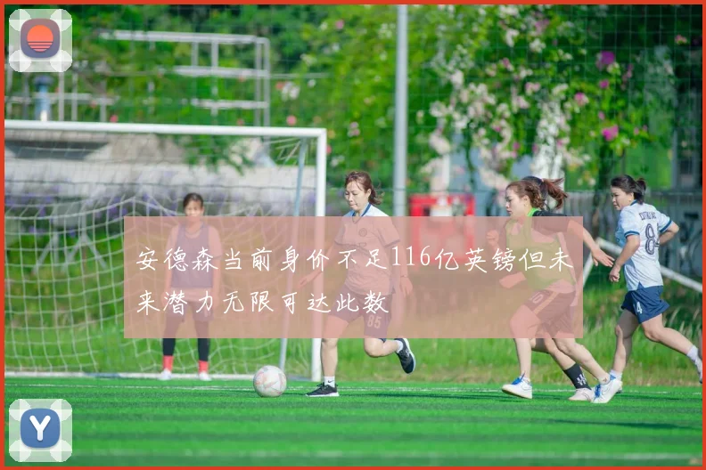 安德森当前身价不足116亿英镑但未来潜力无限可达此数